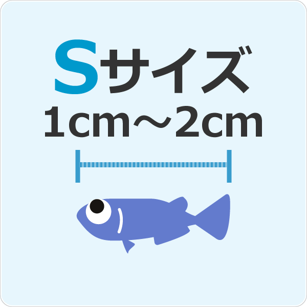 Sサイズ 1～2cm